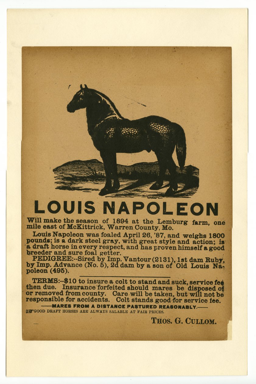 Broadside reklamowy koń pociągowy Ludwik Napoleon do służby, 1894 autorstwa Unknown