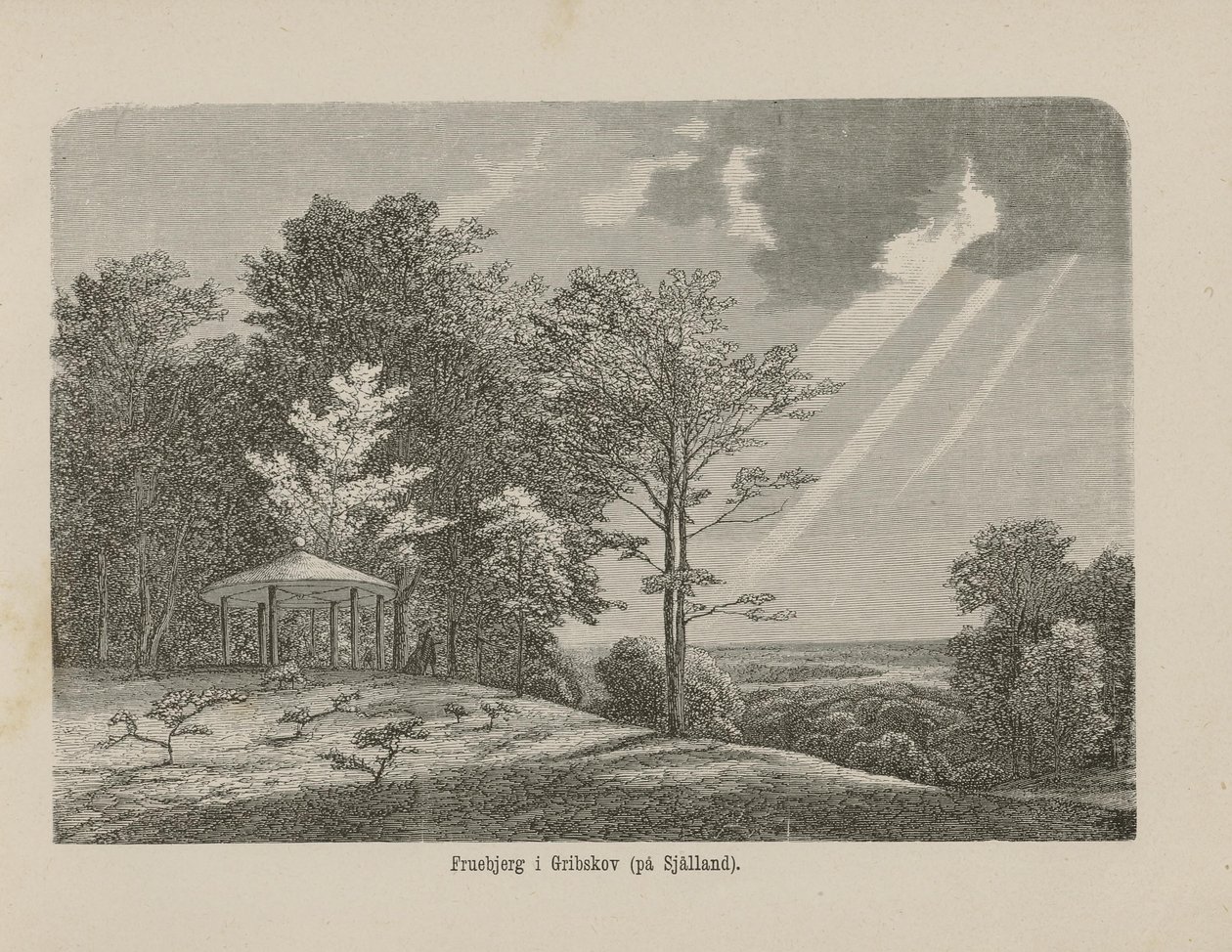 Ilustracja zaczerpnięta z książki Nordiska taflor nieznanego autora i opublikowana przez Alberta Bonniera (patrz, 1865) autorstwa Unknown