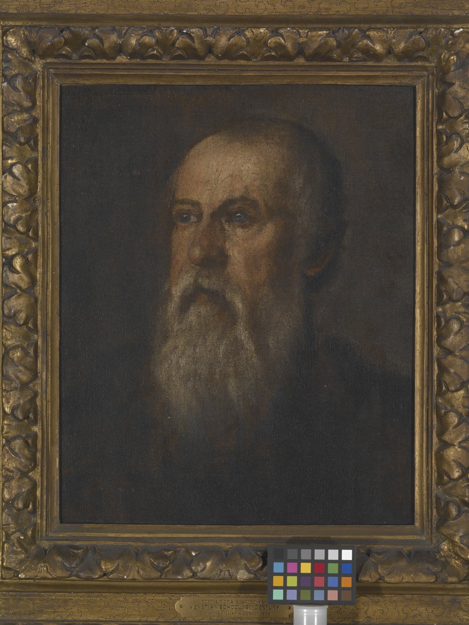 Portret brodatego mężczyzny (olej na płótnie naklejonym na deskę) autorstwa (1528 88) Veronese
