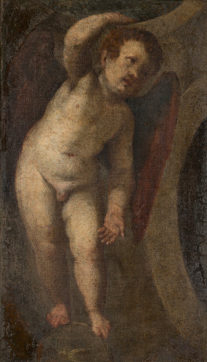 Stałe Putto, ok. 1548-88 (olej na płótnie) autorstwa Veronese