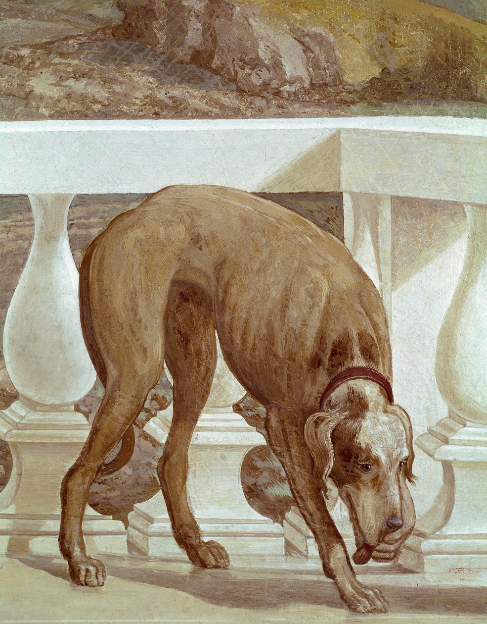 Pies na balkonie. Świeży detal. Obraz Paolo Caliariego zwany Paolo Veronese (1528-1588), ok. 1561. Fresco Maser (Treviso), Villa Barbaro, Pokój Bachusa autorstwa Veronese