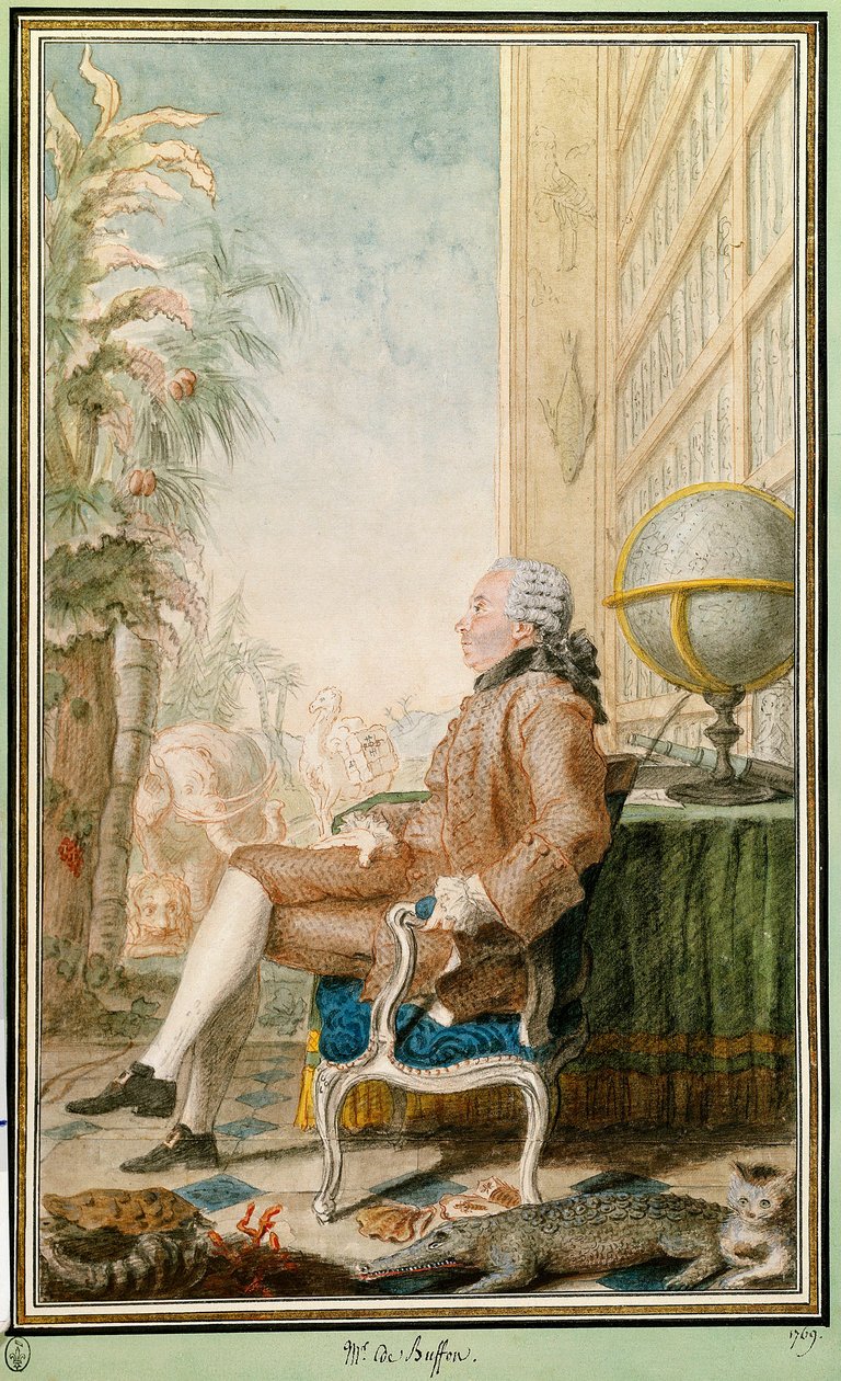 Portret Georgesa-Louisa Leclerca, hrabiego Buffon (1707-1788), przyrodnika, zarządcy Jardin du Roi. Akwarela autorstwa Louisa Carrogisa Carmontelle (1717-1806). Chantilly. Muzeum Conde autorstwa Carmontelle