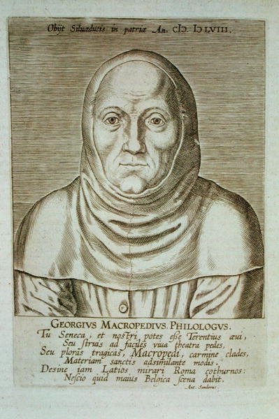 Georgius Macropedius Philologus (ok.1486-1588) (drzewodruk) autorstwa (after) Dutch School