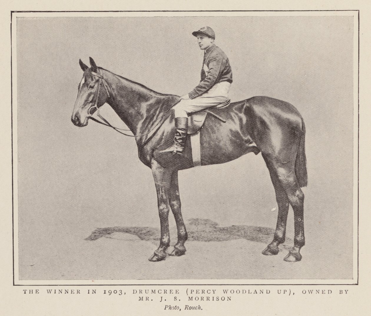 Drumcree, zwycięzca Grand National 1903 (zdjęcie czarno-białe) autorstwa (after) English photographer