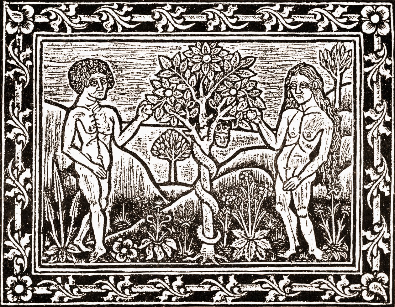 Drzewo, z którego Adam zjadł Jabłko, faksymilia z księgi medytacji, pierwszej książki wydrukowanej w Albi w Langwedocji w 1481 r. autorstwa (after) French School