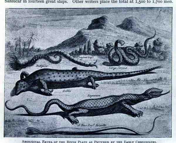Fauna aborygeńska zobrazowana przez wczesnych kronikarzy w „Podróżach Nieuhoffa”, wyd. w XVII wieku, z „The Romance of the River, Volume I”, WH Koebel autorstwa (after) German School