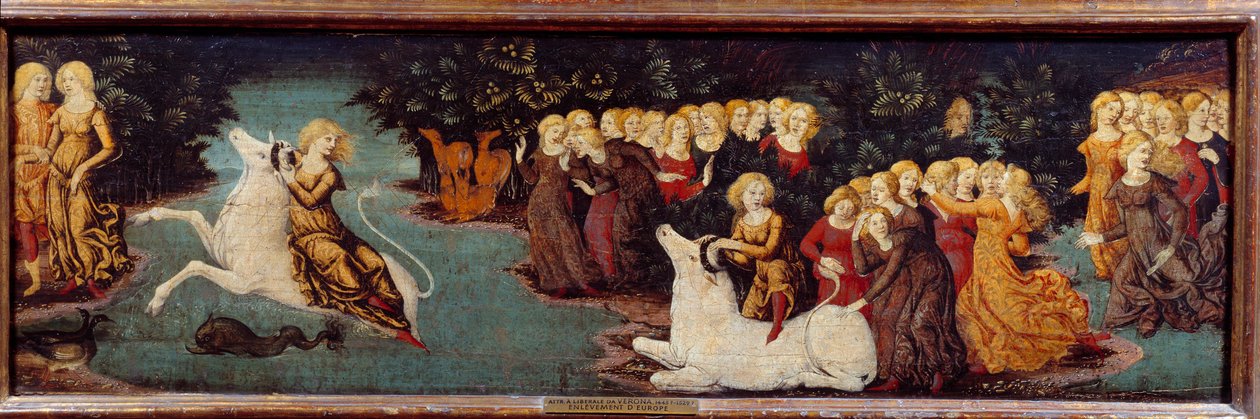 Porwanie Europy. Obraz Liberale Da Verona (1445-1529) autorstwa (c.1445 1527) Liberale da Verona