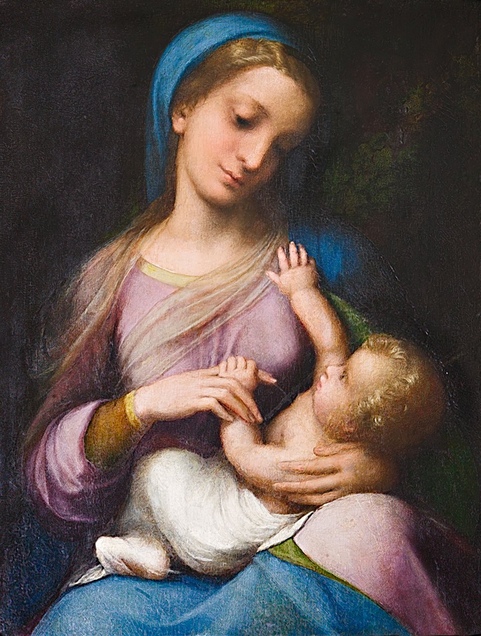 Madonna z Dzieciątkiem lub Madonna Campori (olej na panelu) autorstwa (c.1489 1534) Correggio