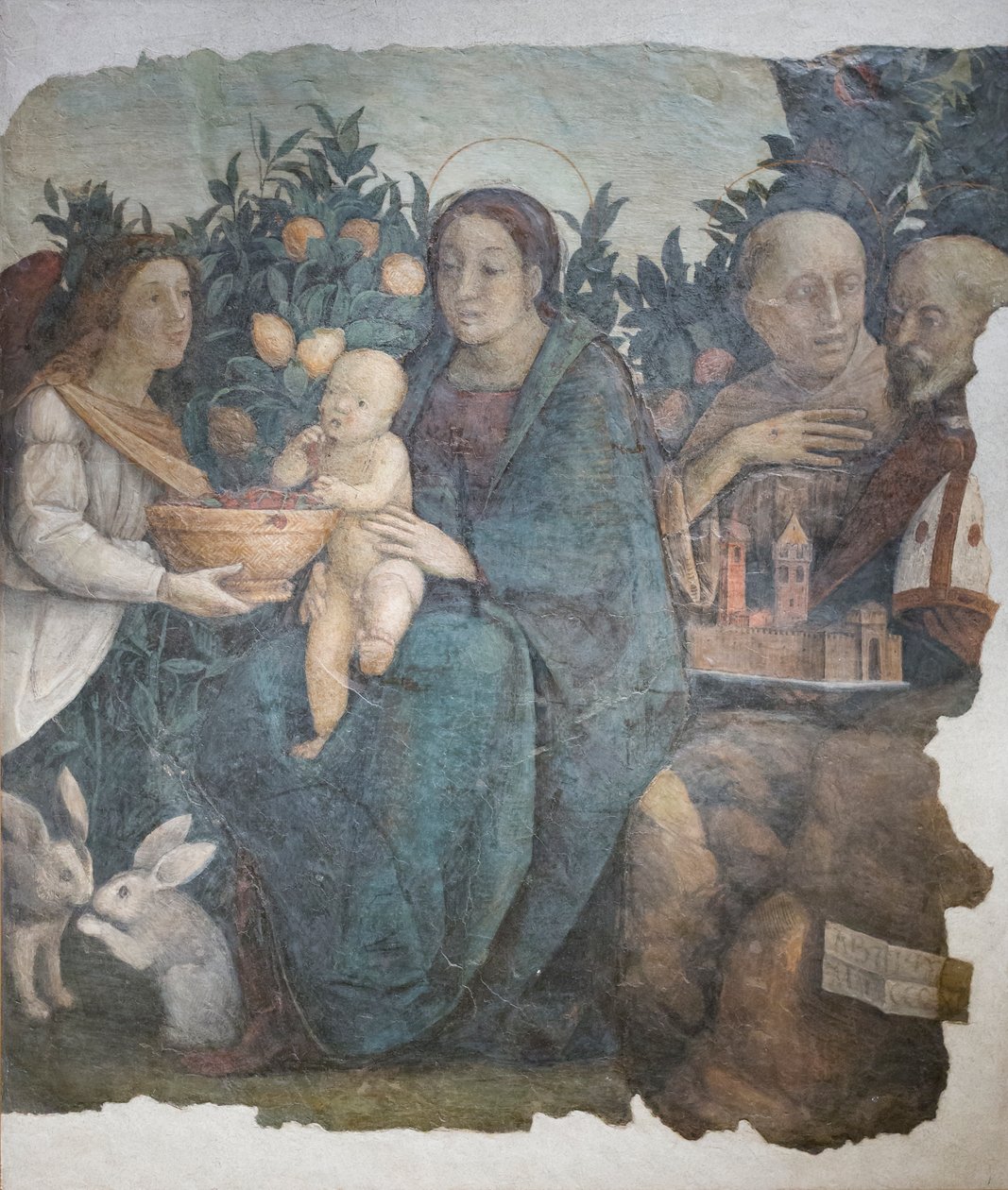Madonna z Dzieciątkiem i świętymi Franciszkiem i Kwirynem, znana jako Madonna dei limoni. autorstwa (c.1489 1534) Correggio