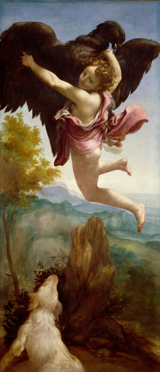 Porwanie Ganimedesa autorstwa (c.1489 1534) Correggio