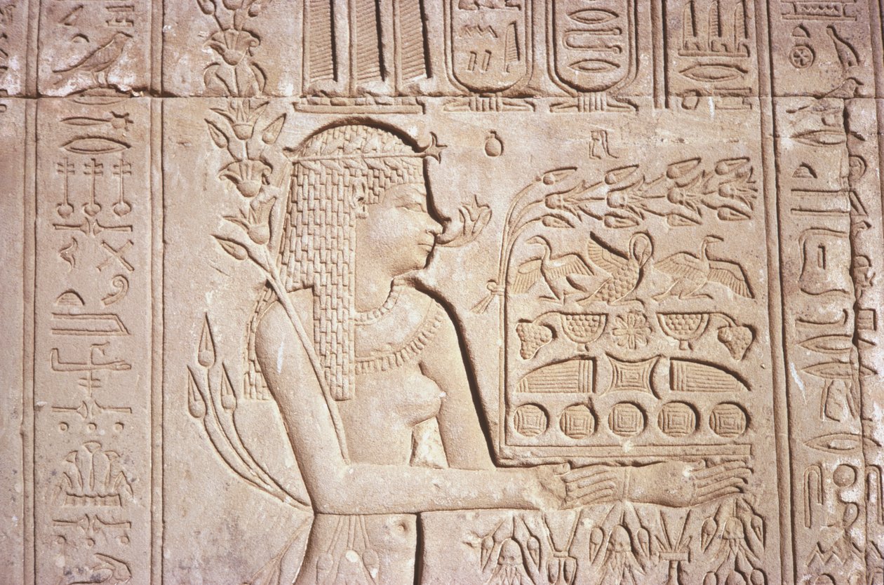 Egipt, Dendara, misterne rzeźby ścienne na wschodniej ścianie świątyni Hathor. autorstwa Unknown