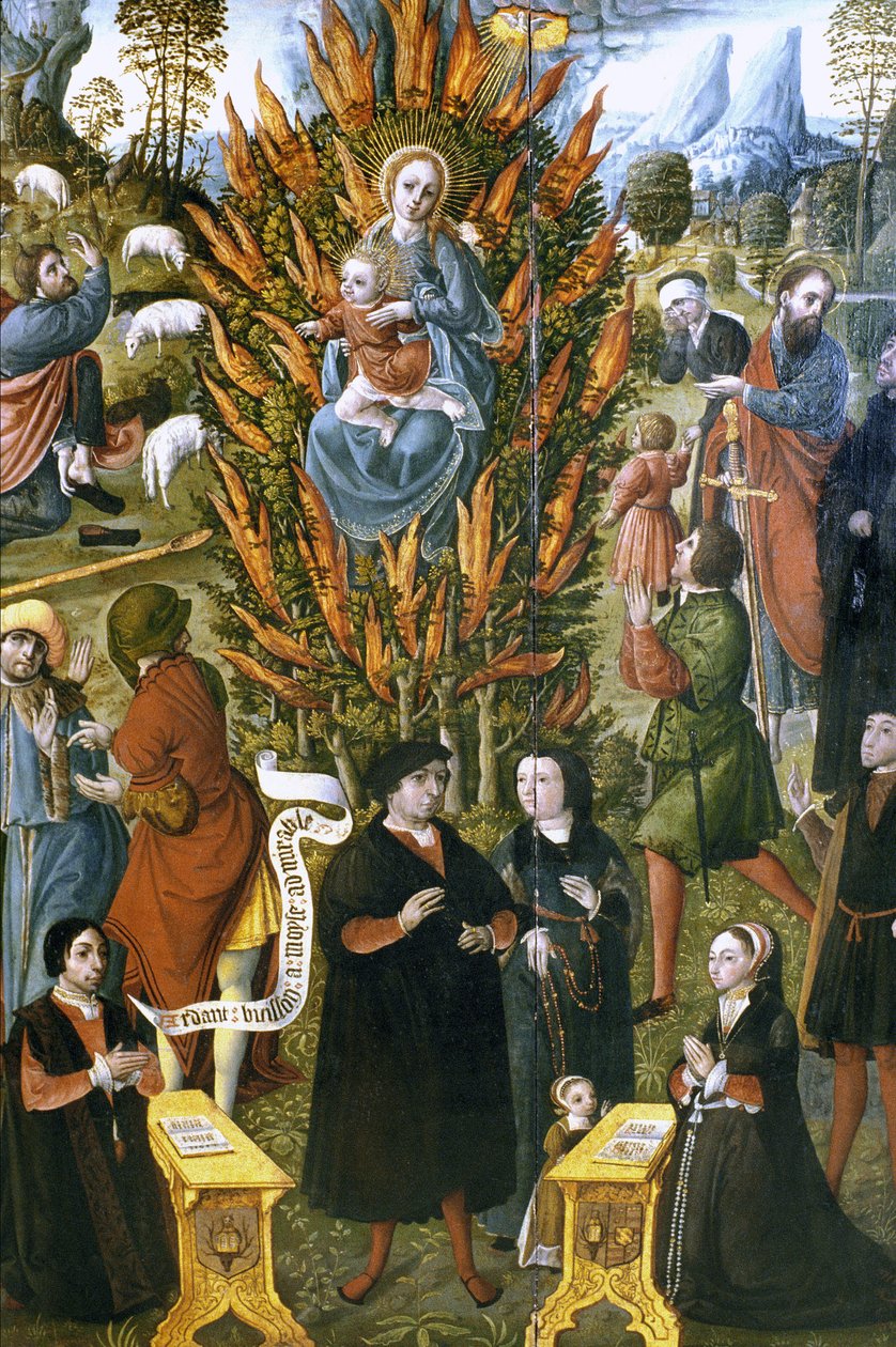 Francja - Somme - dział 80 - Abbeville - DR Musee Boucher de Perthes - Dziewica z płonącym krzewem na zlecenie Jeana de Cermoise w latach 1526-1531. Olej na drewnie autorstwa Unknown