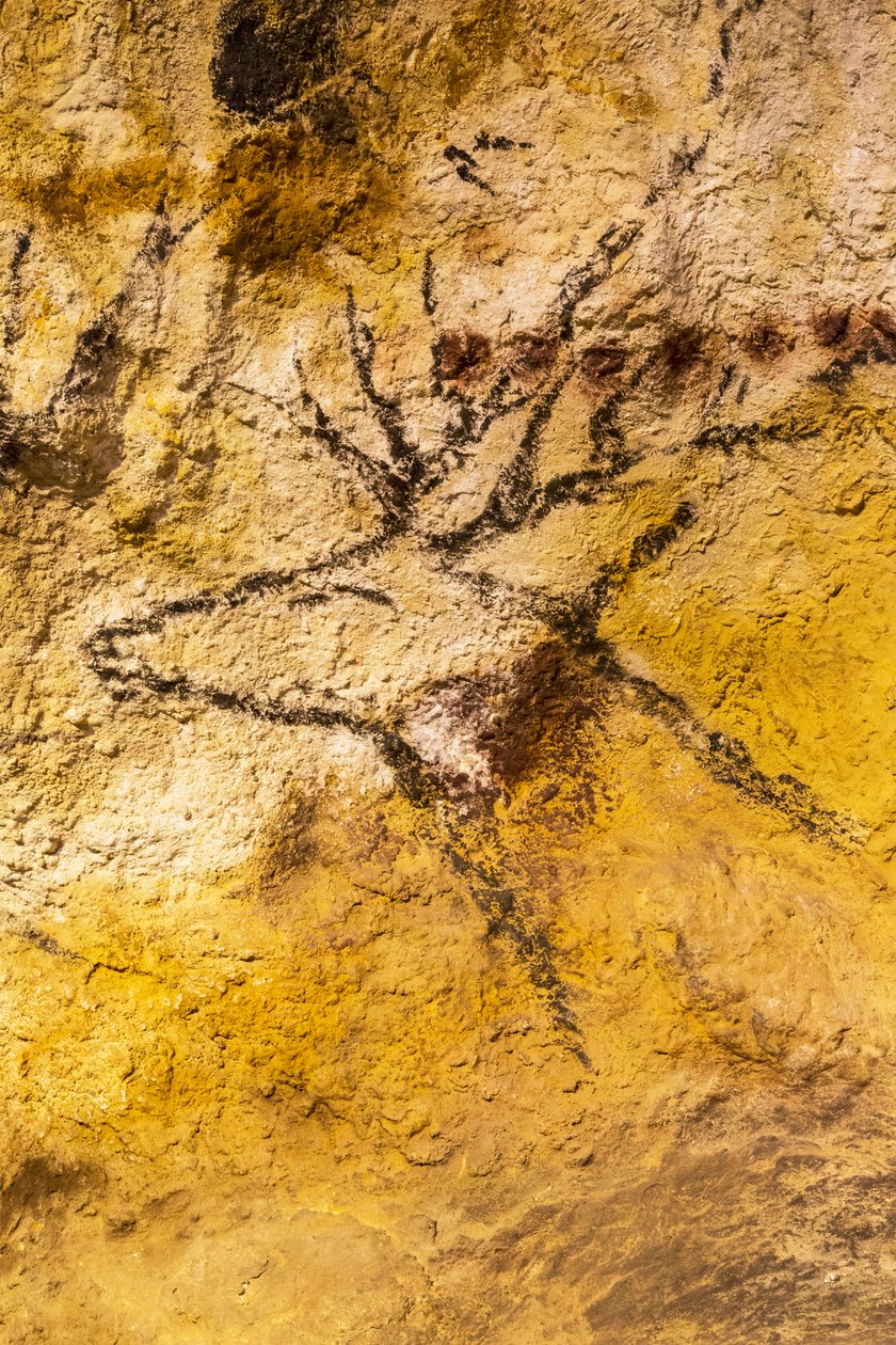 Malowidło jaskiniowe Lascaux, Bordeaux, Francja autorstwa Unknown