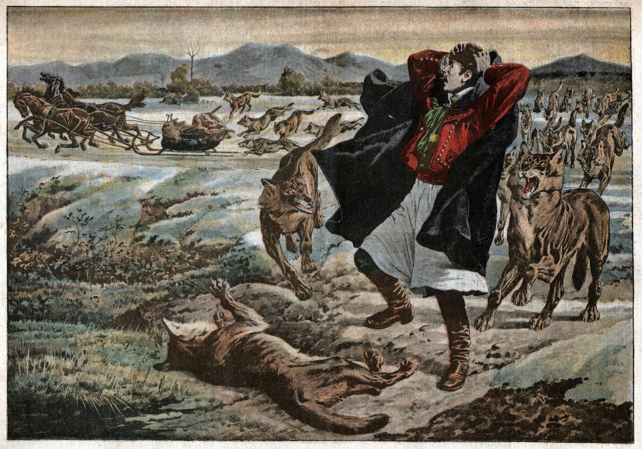 Wilki w Transylwanii. Wilki w Transylwanii. autorstwa Unknown