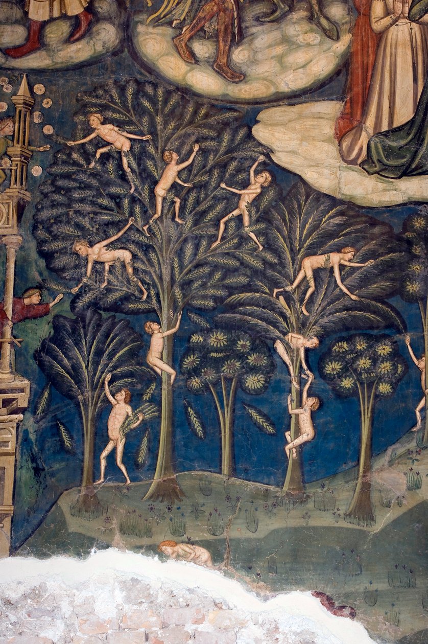 Św. Marii w kościele fortepianowym, Loreto Aprutino, Abruzzo, Włochy, autorstwa Unknown