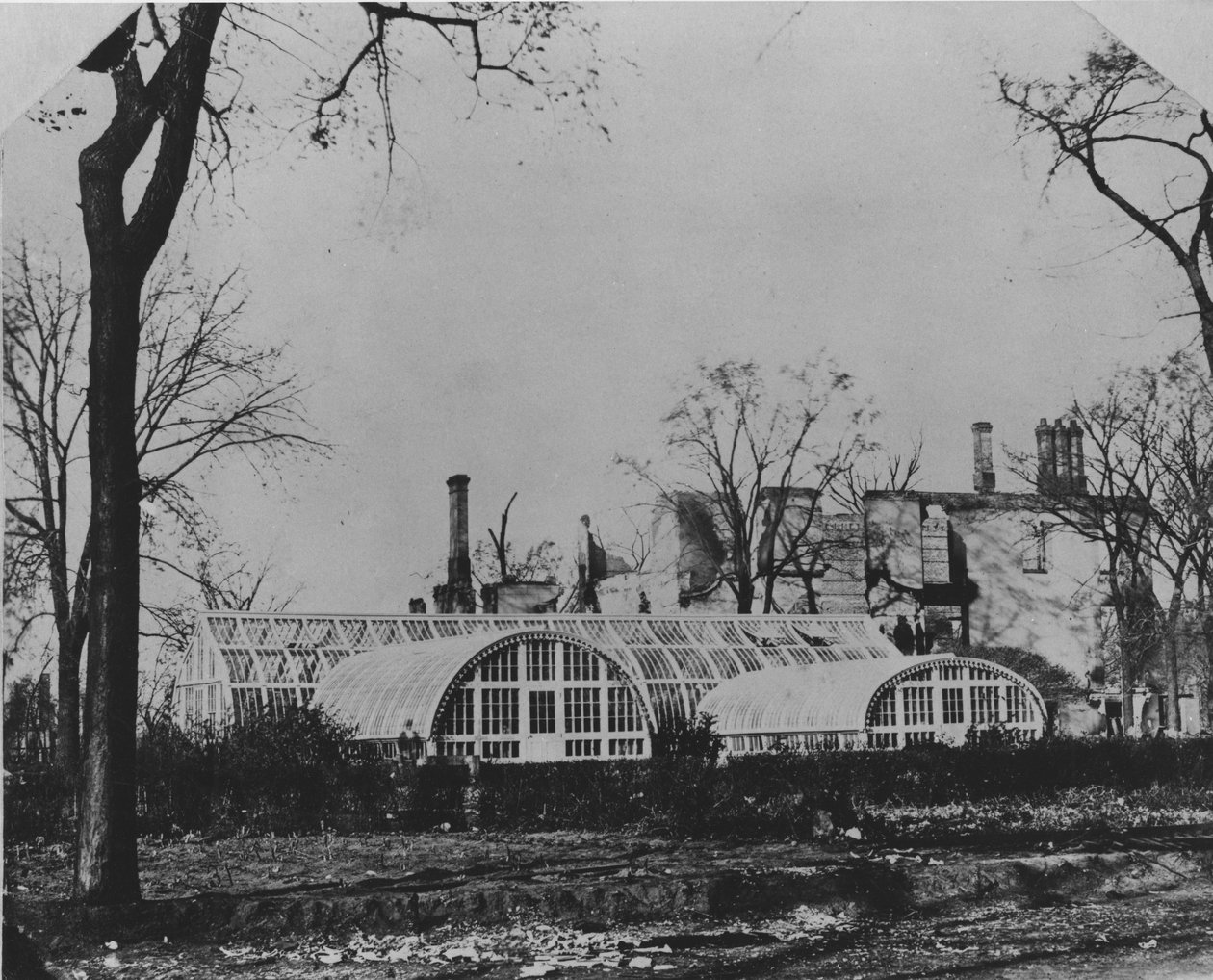 Rezydencja i oranżeria Ezra B. McCaggsa po pożarze w Chicago w 1871 r., 1871 r. autorstwa American Photographer