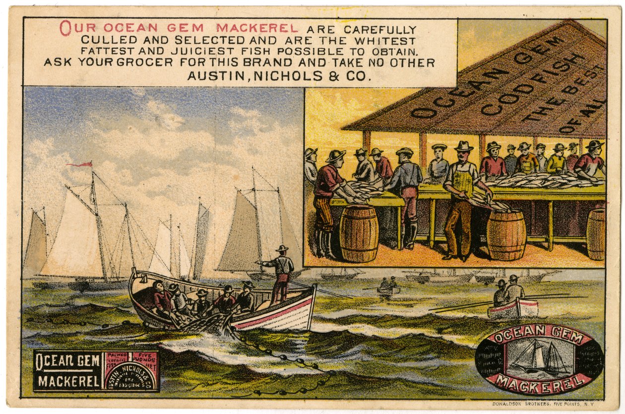 Austin, Nichols & Co. Ocean Gem Skumbrė, prekybos kortelė recto., (spalvos lito [prekybos kortelė])poli autorstwa American School