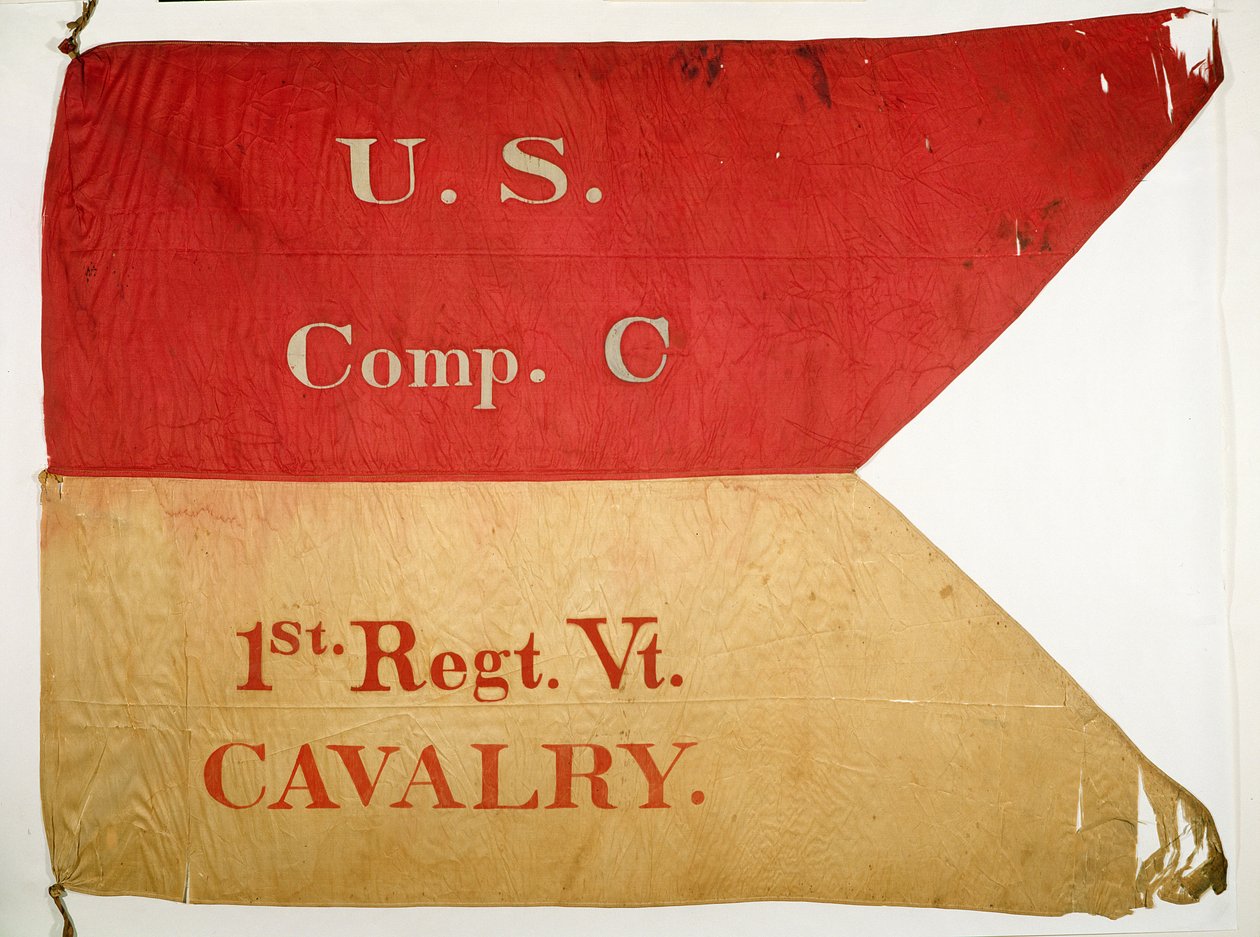 Flaga Guidon (tekstylna) autorstwa American School
