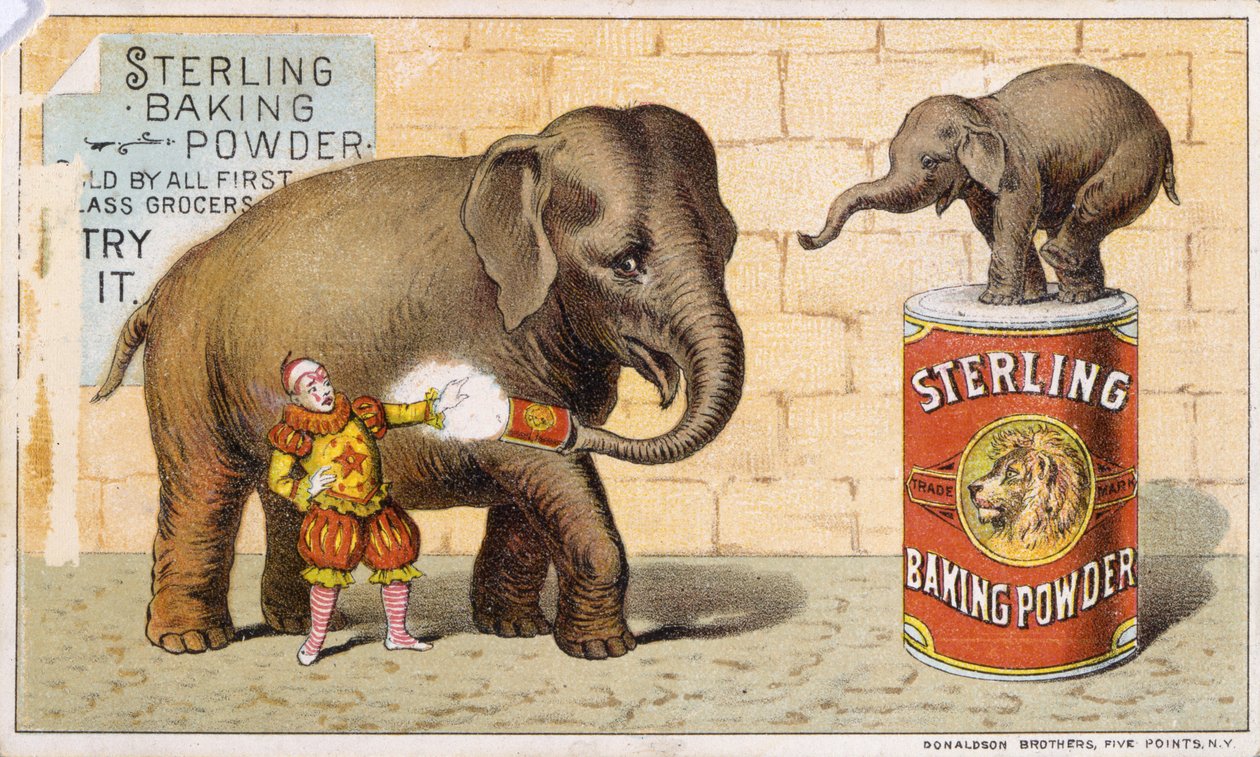 Sterling kepimo milteliai (spalva lito [prekinė kortelė])poli autorstwa American School