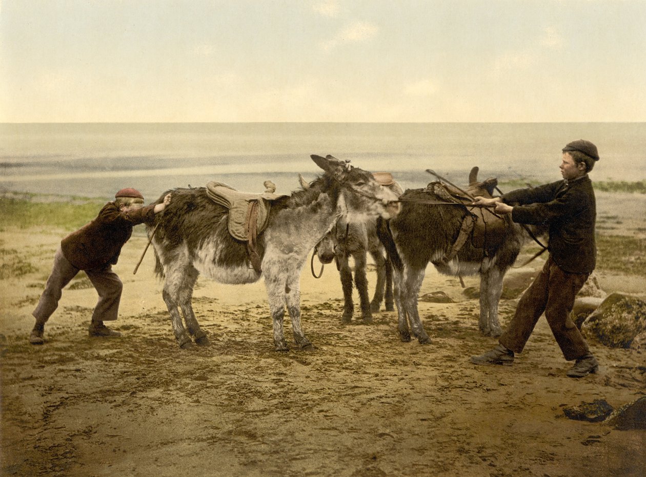 Osły na plaży, pub. ok. 1890 - 1900 (chromolitografia) autorstwa English Photographer