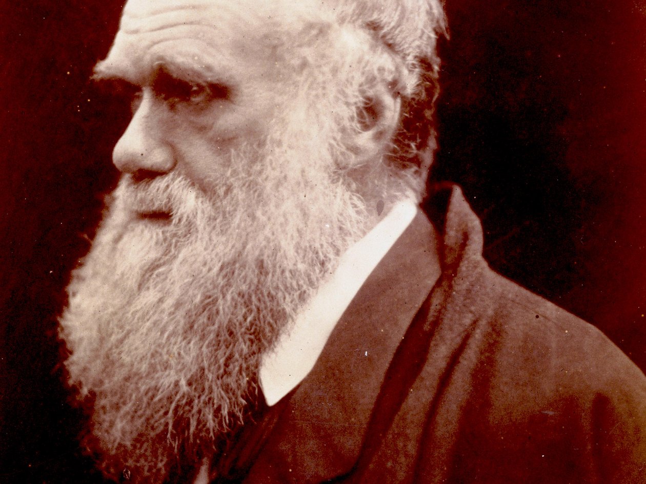 Portret Karola Darwina, 1859 autorstwa English Photographer