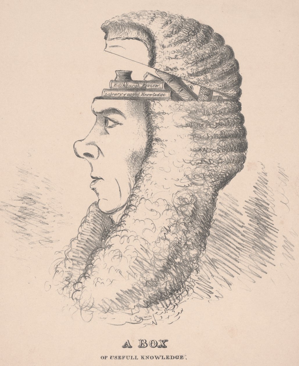 Pudełko przydatnej wiedzy: Karykatura Brougham, 1832 autorstwa English School