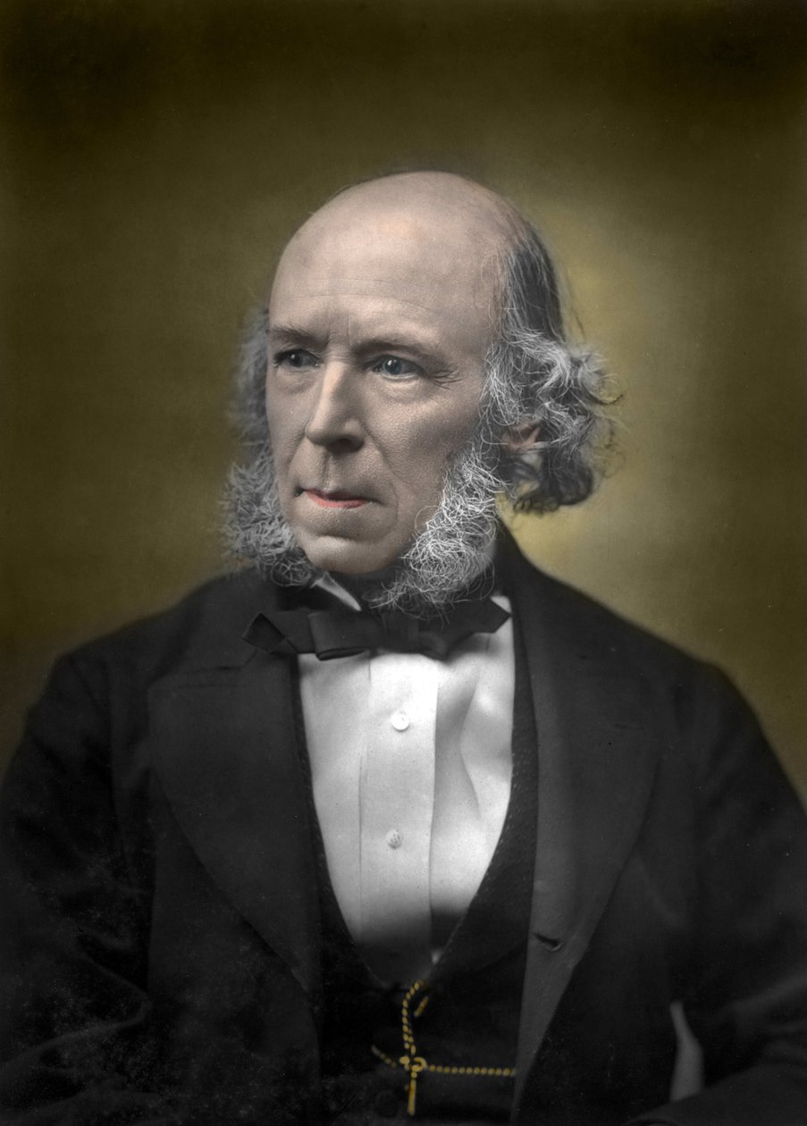 Portret Herberta Spencera autorstwa English School