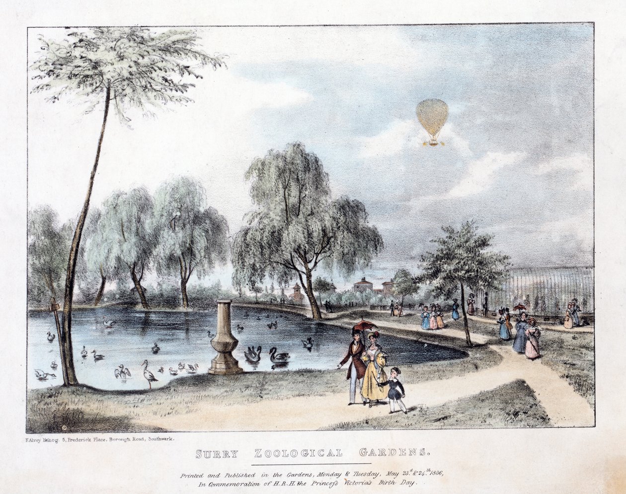 Surėjaus zoologijos sodai. Pub. 1836 (ranka spalvota graviūra)poli autorstwa English School