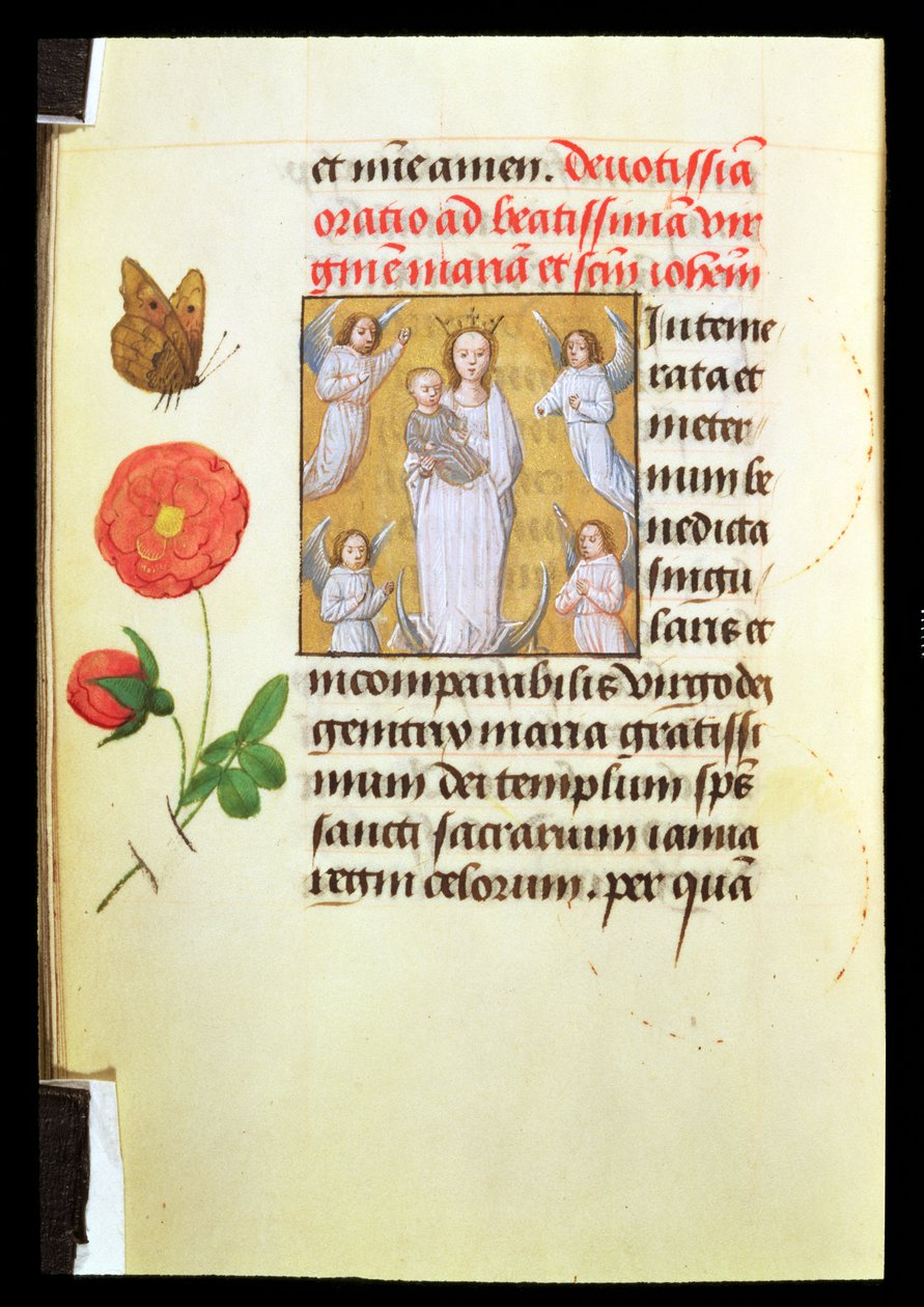 Stojąca Dziewica z Dzieciątkiem, adorowana przez anioły, ok. 1515-20 (tempera i złota farba na welinie) autorstwa Flemish School