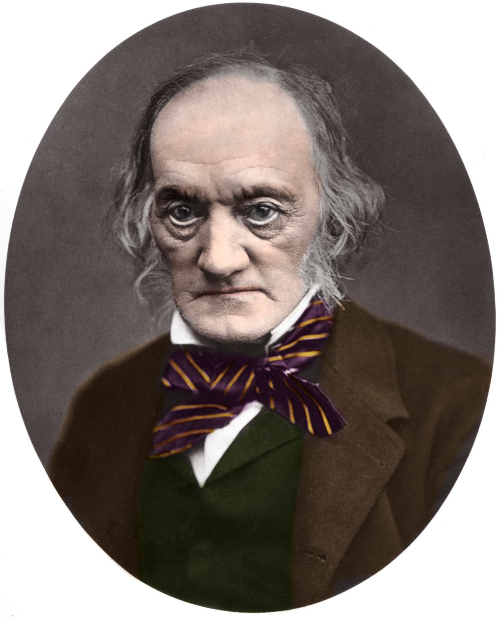 Portret brytyjskiego paleontologa i anatoma Sir Richarda Owena (1804-1892) autorstwa French Photographer