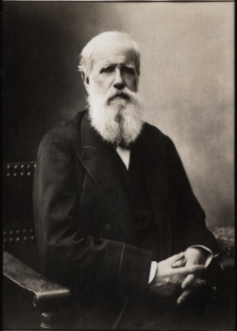 Portret Dom Pedro II (Piotr II) (1825-1891), cesarz Brazylii. autorstwa French Photographer