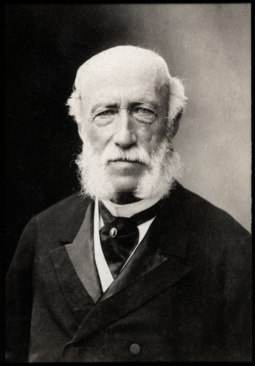 Portret Georga Herberta zu Munstera (1820-1902), niemieckiego męża stanu. autorstwa French Photographer