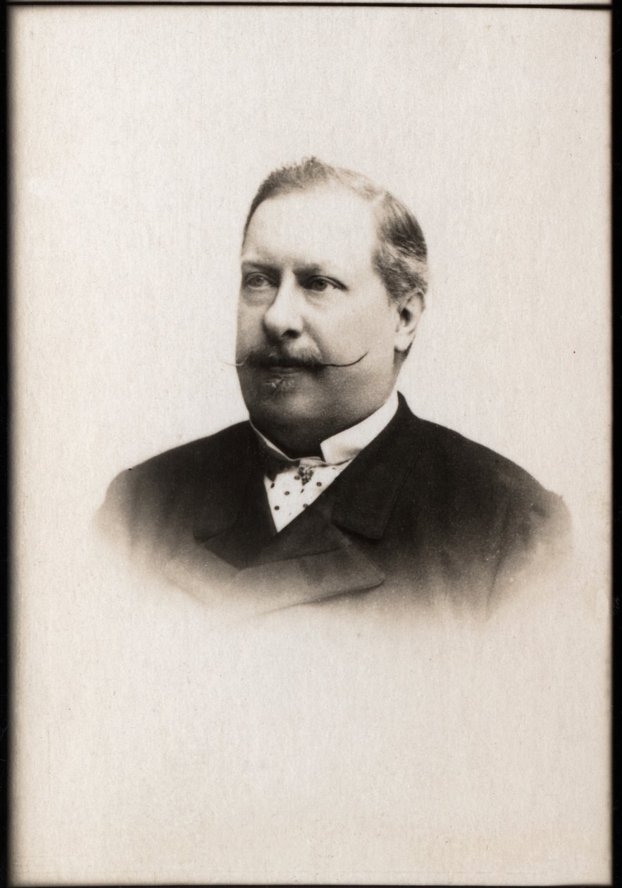 Portret Ludwika I Portugalii (1838-1889), króla Portugalii. autorstwa French Photographer