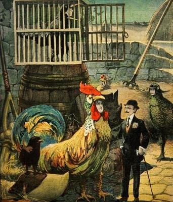 Chantecler, gra wierszowa Edmonda Rostanda, okładka Le Petit Journal, 30 stycznia 1910 autorstwa French School