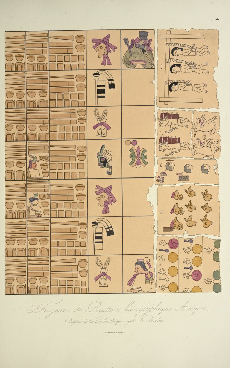 Fragmenty azteckich malowideł hieroglificznych z Biblioteki Królewskiej w Berlinie, ilustracja z Widoków Kordylierów i Pomników Rdzennych Ludów Ameryki autorstwa Alexandra von Humboldta i Aime Bona autorstwa French School