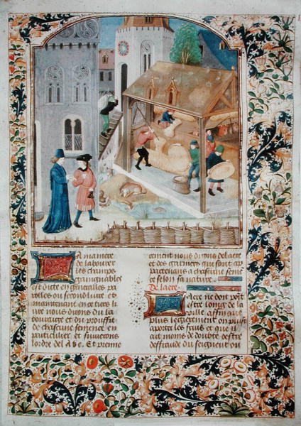 Ms 5064 fol.35r Młócenie, z Livre des Prouffitz Champestres autorstwa Pietro de Crescenzi (1230-132021) autorstwa French School