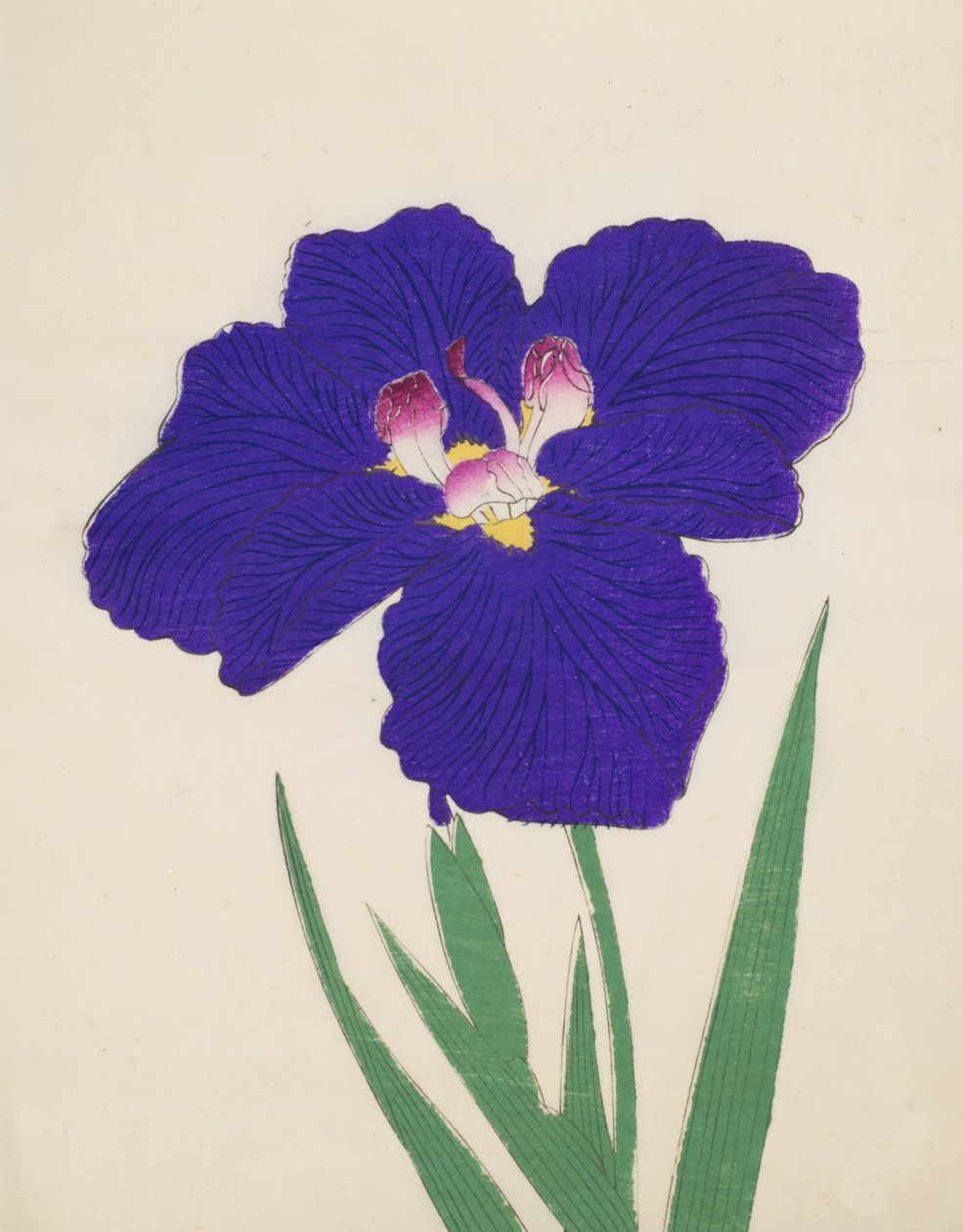 Shira-No-Tamoto, nr 49, 1890 (kolorowy drzeworyt) autorstwa Japanese School
