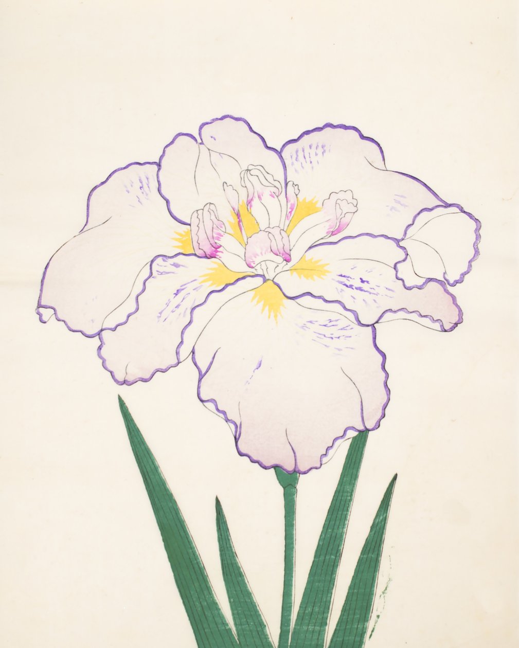 Tanporo, nr 51, 1890 (kolorowy drzeworyt) autorstwa Japanese School