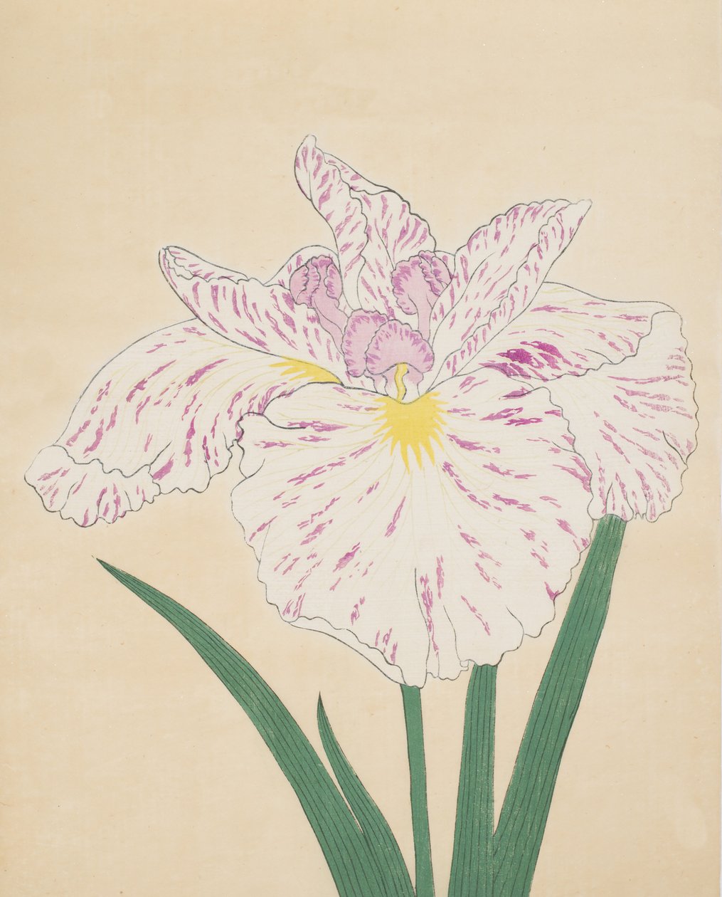 Uji-No-Kawagiri, nr 55, 1890 (kolorowa odbitka drzeworytnicza) autorstwa Japanese School