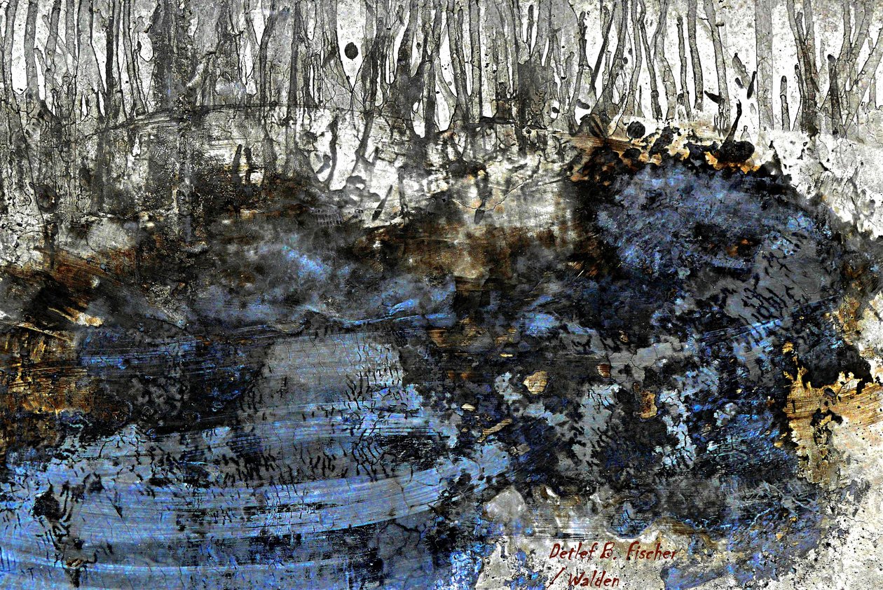 Walden autorstwa Detlef B. Fischer