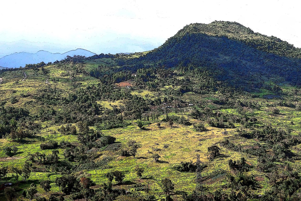 Cebu Hills autorstwa Detlef B. Fischer