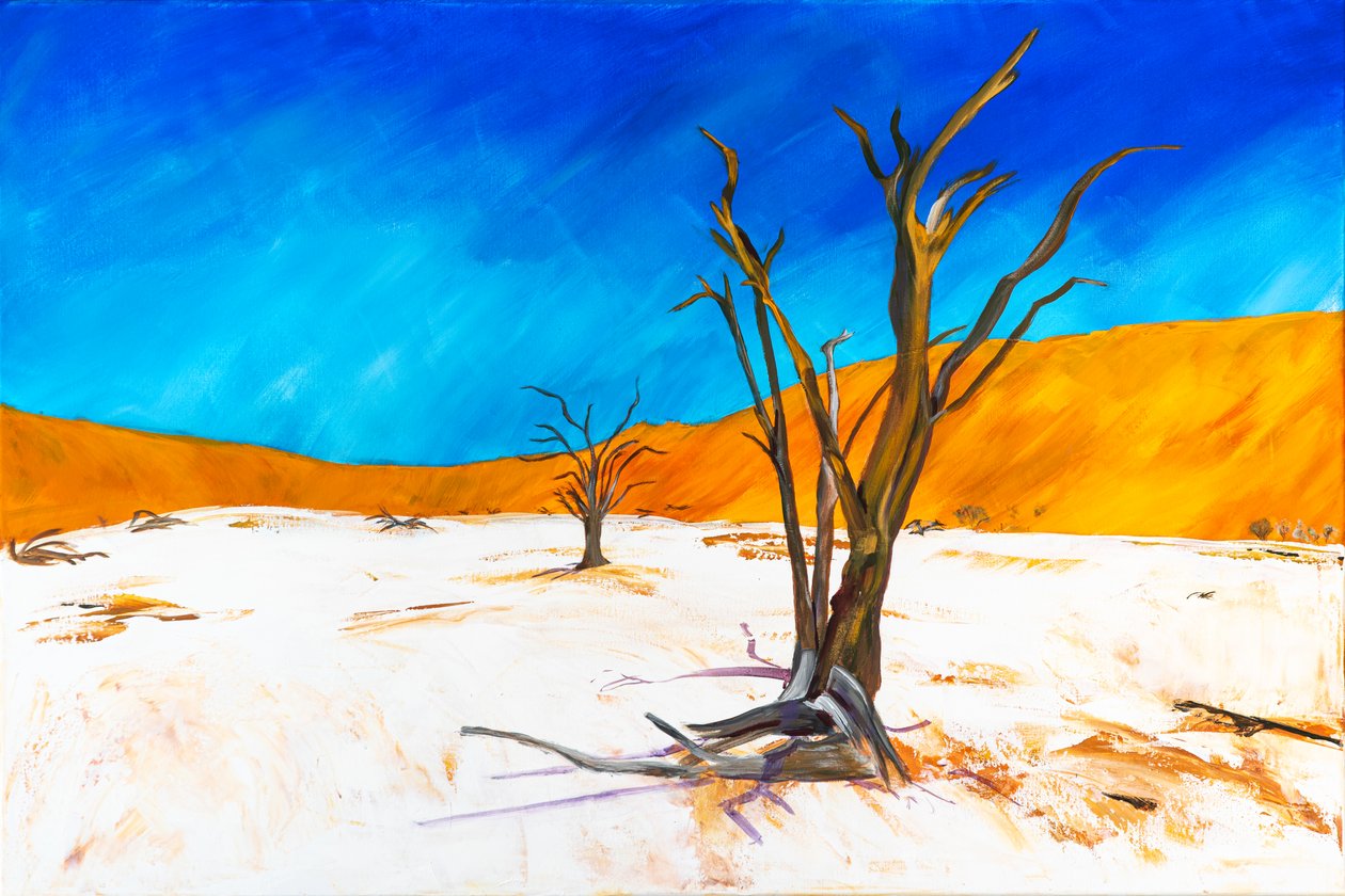 Dead Vlei autorstwa H.Opitz