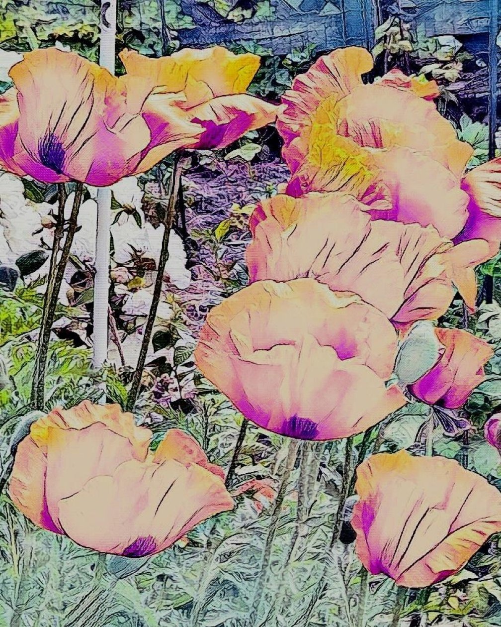 Maki. autorstwa Margareta Uliarte