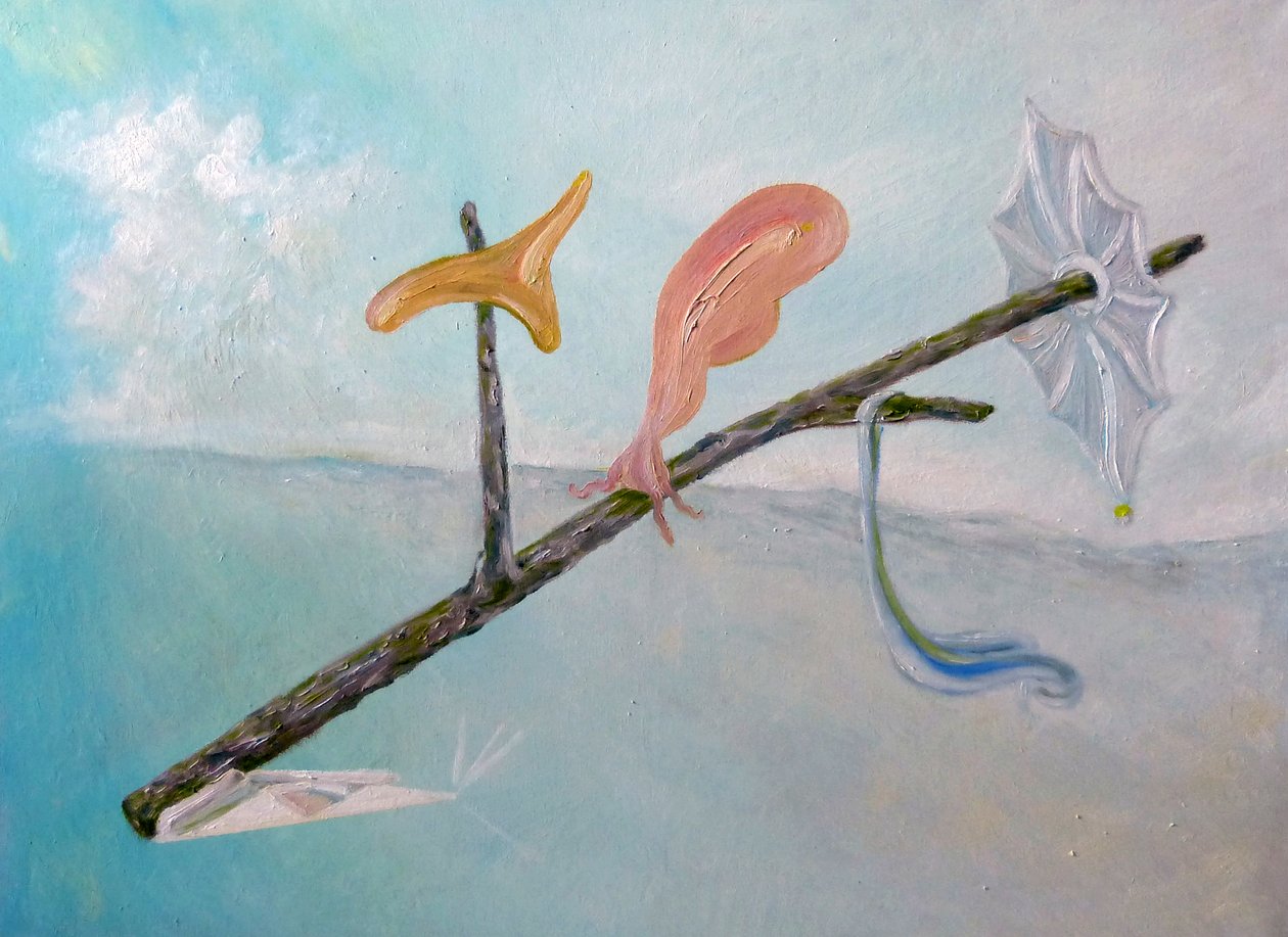 Mój surrealizm autorstwa Elzbieta Goszczycka