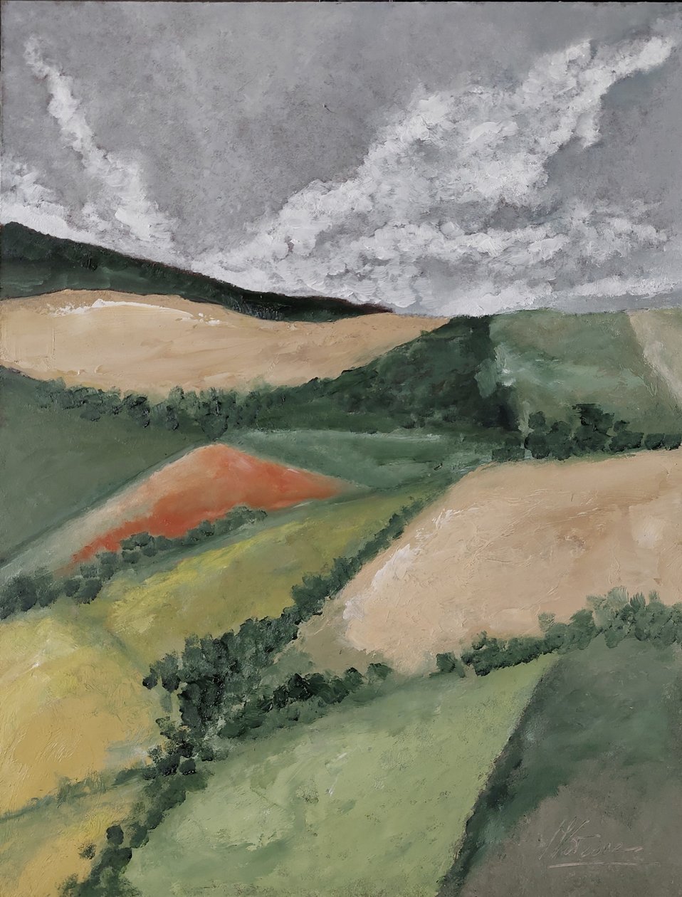 Żywopłoty między polami autorstwa M. Vet