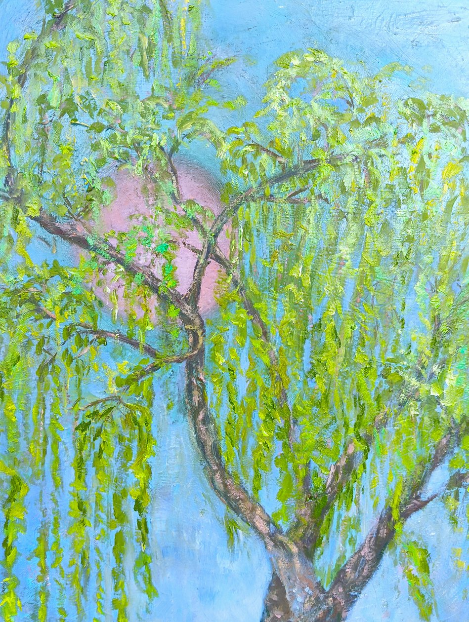 Wierzba, która się nie śmieje autorstwa Elzbieta Goszczycka