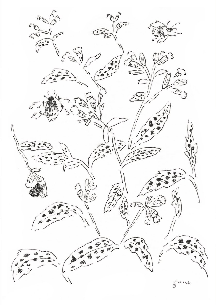  autorstwa june art