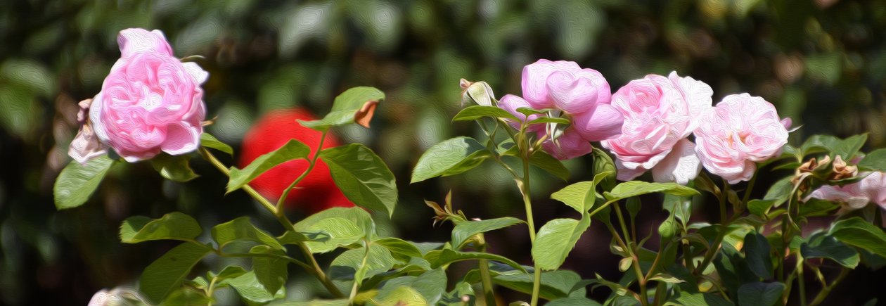  autorstwa Albert Mansour