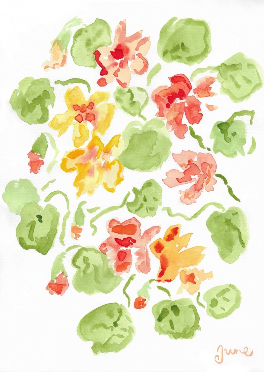 Nasturcje autorstwa june art