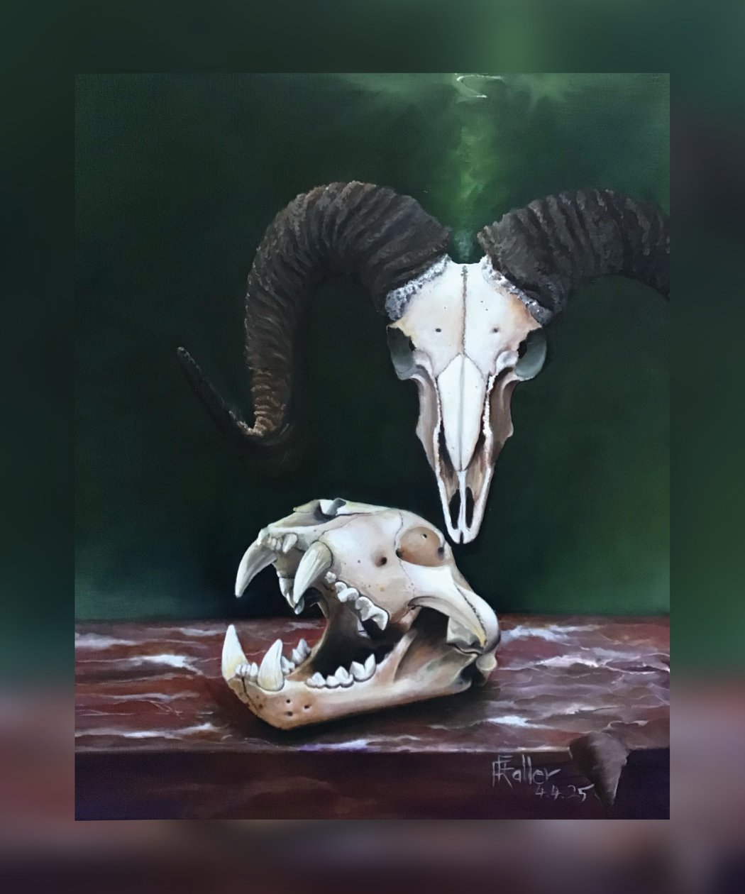 Memento mori (Studium czaszek zwierzęcych) autorstwa Faller Rüdiger - Tician